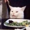 woman-screaming-white-cat-at-the-table-mocking-3YwcL.jpg